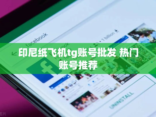印尼纸飞机tg账号批发 热门账号推荐