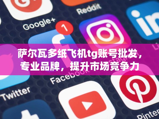 萨尔瓦多纸飞机tg账号批发,专业品牌,提升市场竞争力