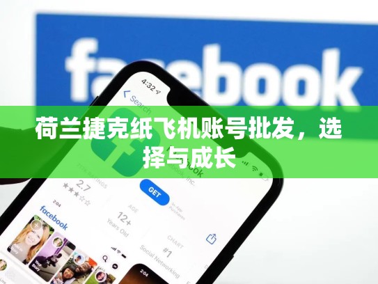 荷兰捷克纸飞机账号批发，选择与成长