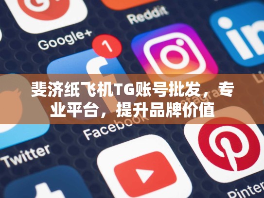 斐济纸飞机TG账号批发,专业平台,提升品牌价值