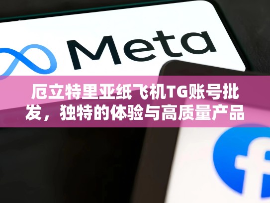 厄立特里亚纸飞机TG账号批发,独特的体验与高质量产品