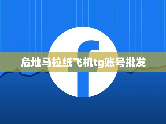 危地马拉纸飞机tg账号批发
