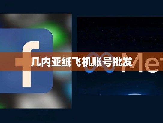 几内亚纸飞机账号批发