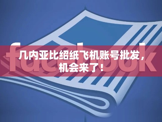 几内亚比绍纸飞机账号批发，机会来了！