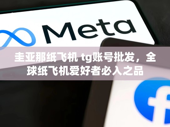圭亚那纸飞机 tg账号批发，全球纸飞机爱好者必入之品
