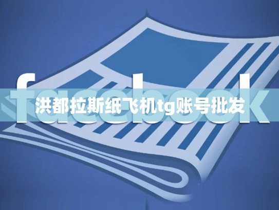洪都拉斯纸飞机tg账号批发