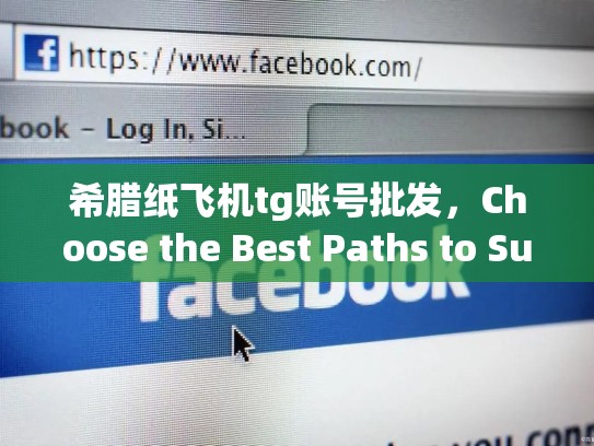 希腊纸飞机tg账号批发，Choose the Best Paths to Success