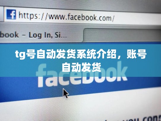 tg号自动发货系统介绍，账号自动发货