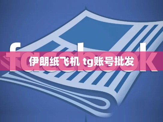 伊朗纸飞机 tg账号批发