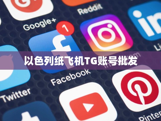 以色列纸飞机TG账号批发