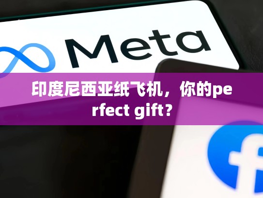 印度尼西亚纸飞机，你的perfect gift？