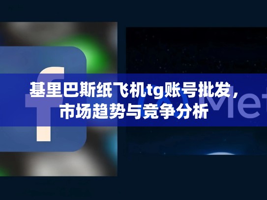 基里巴斯纸飞机tg账号批发，市场趋势与竞争分析