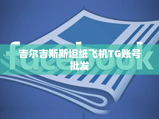 吉尔吉斯斯坦纸飞机TG账号批发