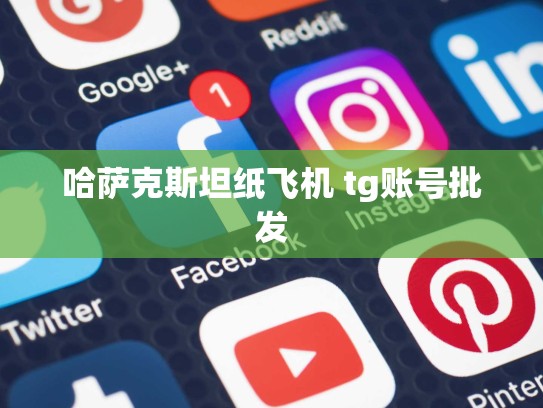 哈萨克斯坦纸飞机 tg账号批发