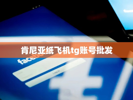 肯尼亚纸飞机tg账号批发