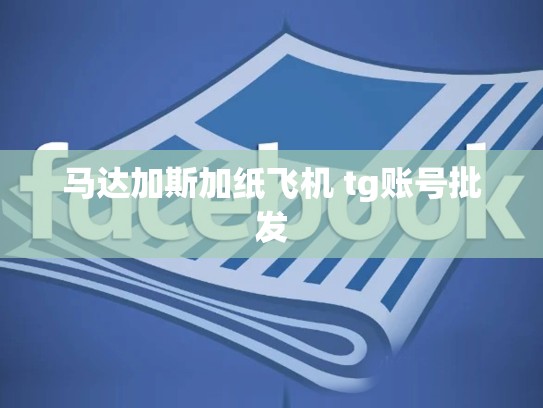 马达加斯加纸飞机 tg账号批发