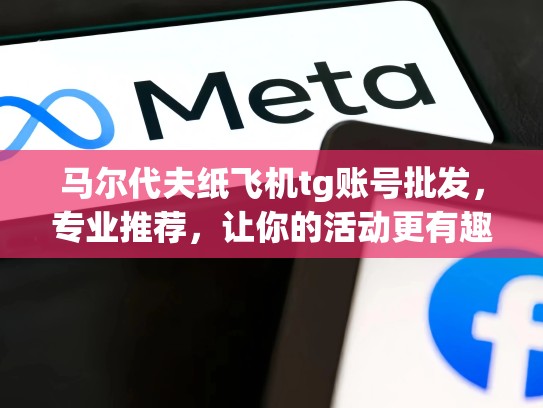马尔代夫纸飞机tg账号批发，专业推荐，让你的活动更有趣