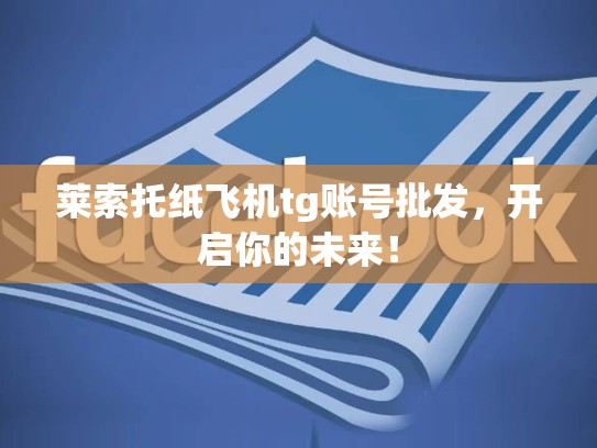 莱索托纸飞机tg账号批发，开启你的未来！