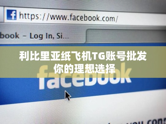 利比里亚纸飞机TG账号批发 你的理想选择