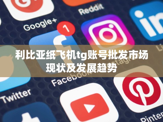 利比亚纸飞机tg账号批发市场现状及发展趋势