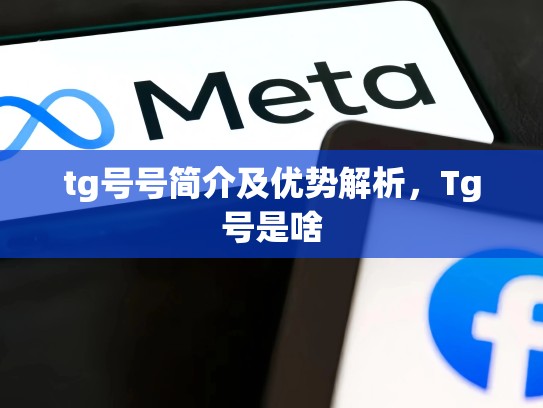 tg号号简介及优势解析，Tg号是啥