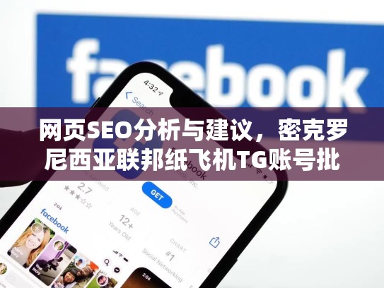 网页SEO分析与建议，密克罗尼西亚联邦纸飞机TG账号批发分析