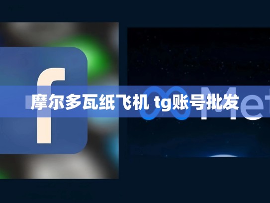 摩尔多瓦纸飞机 tg账号批发