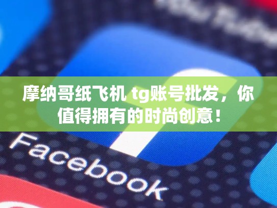 摩纳哥纸飞机 tg账号批发，你值得拥有的时尚创意！
