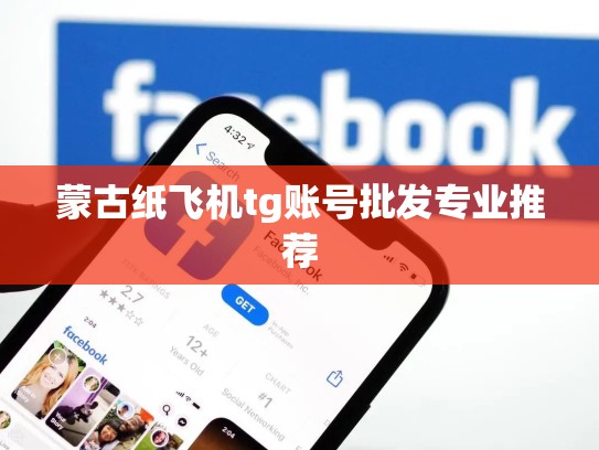 蒙古纸飞机tg账号批发专业推荐