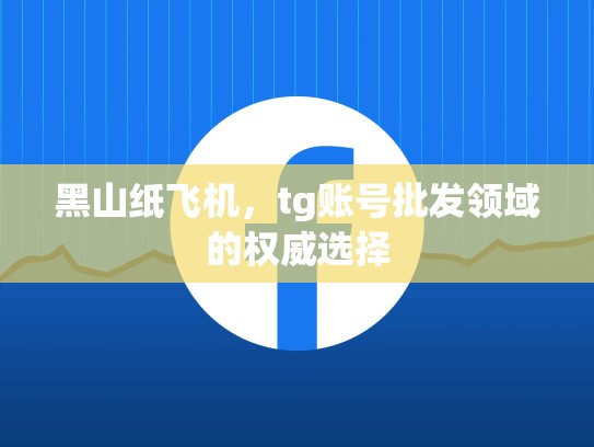 黑山纸飞机，tg账号批发领域的权威选择