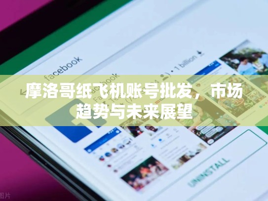 摩洛哥纸飞机账号批发，市场趋势与未来展望