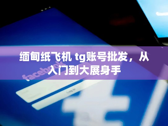缅甸纸飞机 tg账号批发，从入门到大展身手