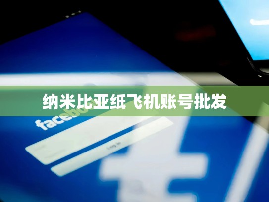 纳米比亚纸飞机账号批发