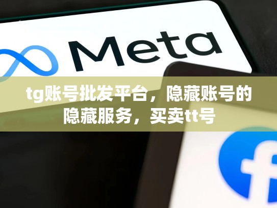 tg账号批发平台，隐藏账号的隐藏服务，买卖tt号
