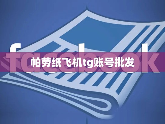 帕劳纸飞机tg账号批发