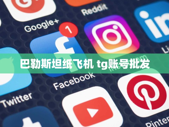 巴勒斯坦纸飞机 tg账号批发