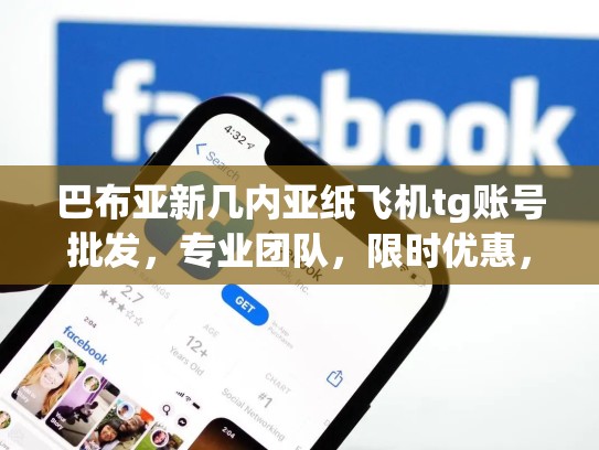 巴布亚新几内亚纸飞机tg账号批发，专业团队，限时优惠，让你拥有一架专业纸飞机
