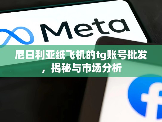 尼日利亚纸飞机的tg账号批发，揭秘与市场分析