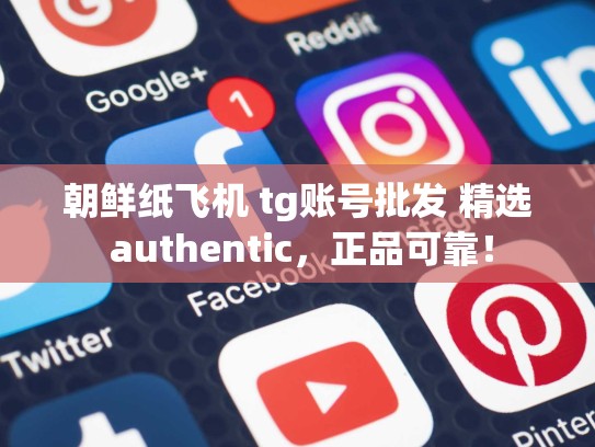 朝鲜纸飞机 tg账号批发 精选 authentic，正品可靠！