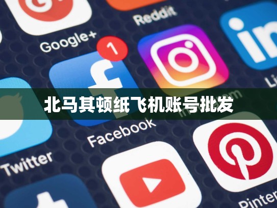 北马其顿纸飞机账号批发