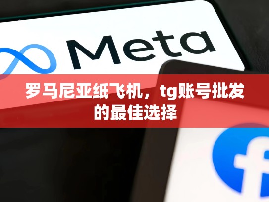 罗马尼亚纸飞机，tg账号批发的最佳选择