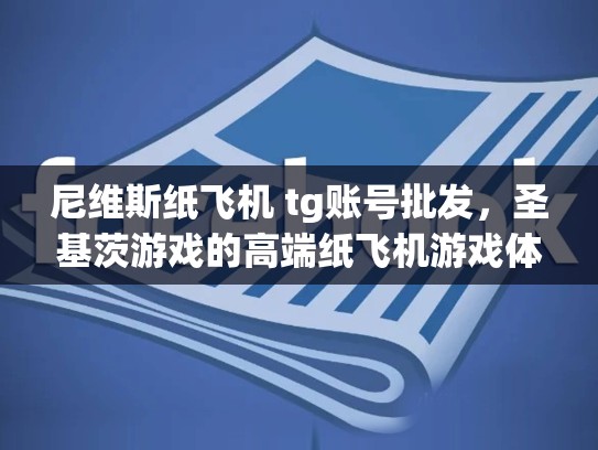 尼维斯纸飞机 tg账号批发，圣基茨游戏的高端纸飞机游戏体验