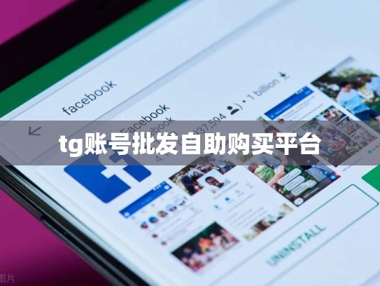 tg账号批发自助购买平台