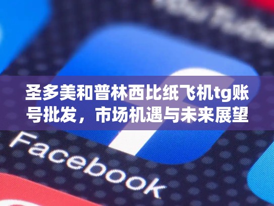 圣多美和普林西比纸飞机tg账号批发，市场机遇与未来展望