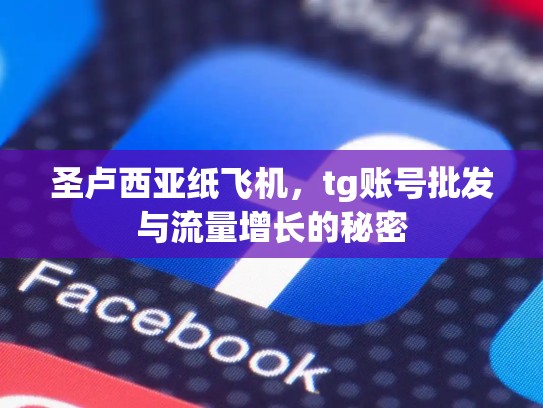 圣卢西亚纸飞机，tg账号批发与流量增长的秘密