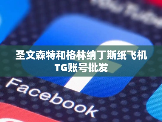 圣文森特和格林纳丁斯纸飞机TG账号批发