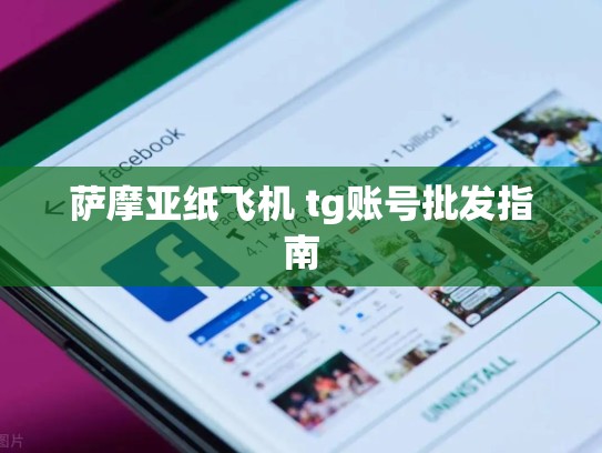 萨摩亚纸飞机 tg账号批发指南