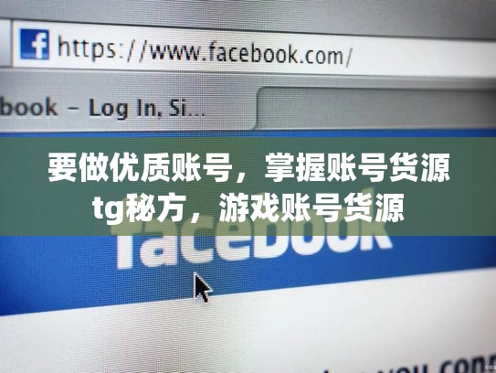 要做优质账号，掌握账号货源tg秘方，游戏账号货源