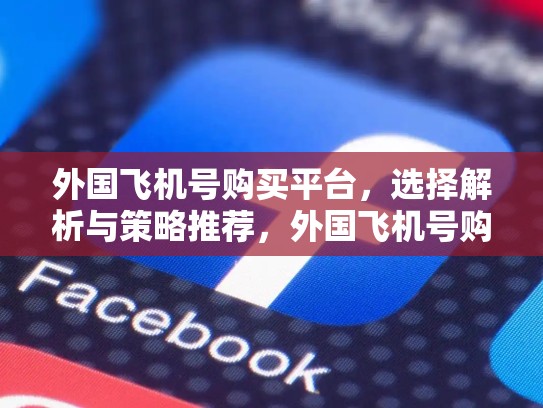 外国飞机号购买平台，选择解析与策略推荐，外国飞机号购买平台官网