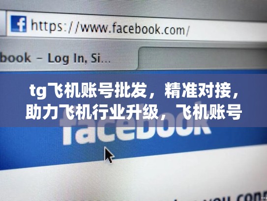 tg飞机账号批发,精准对接,助力飞机行业升级,飞机账号出售
